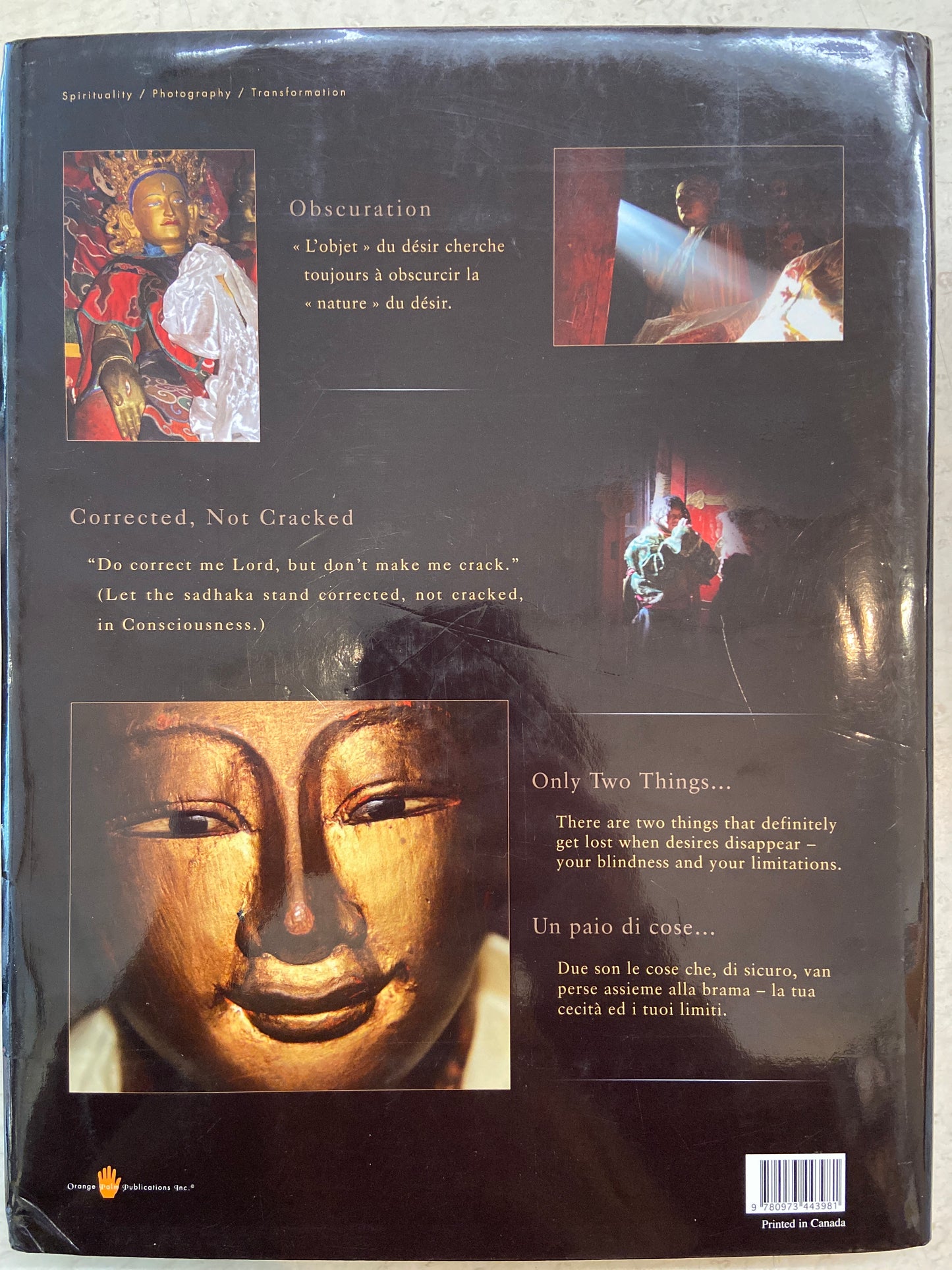 BUDDHAS - BODHISATTVAS - KHADROMAS AND THE WAY OF THE PILGRIM (TRILINGUE)