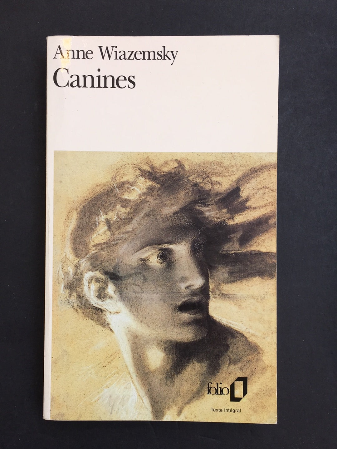 CANINES