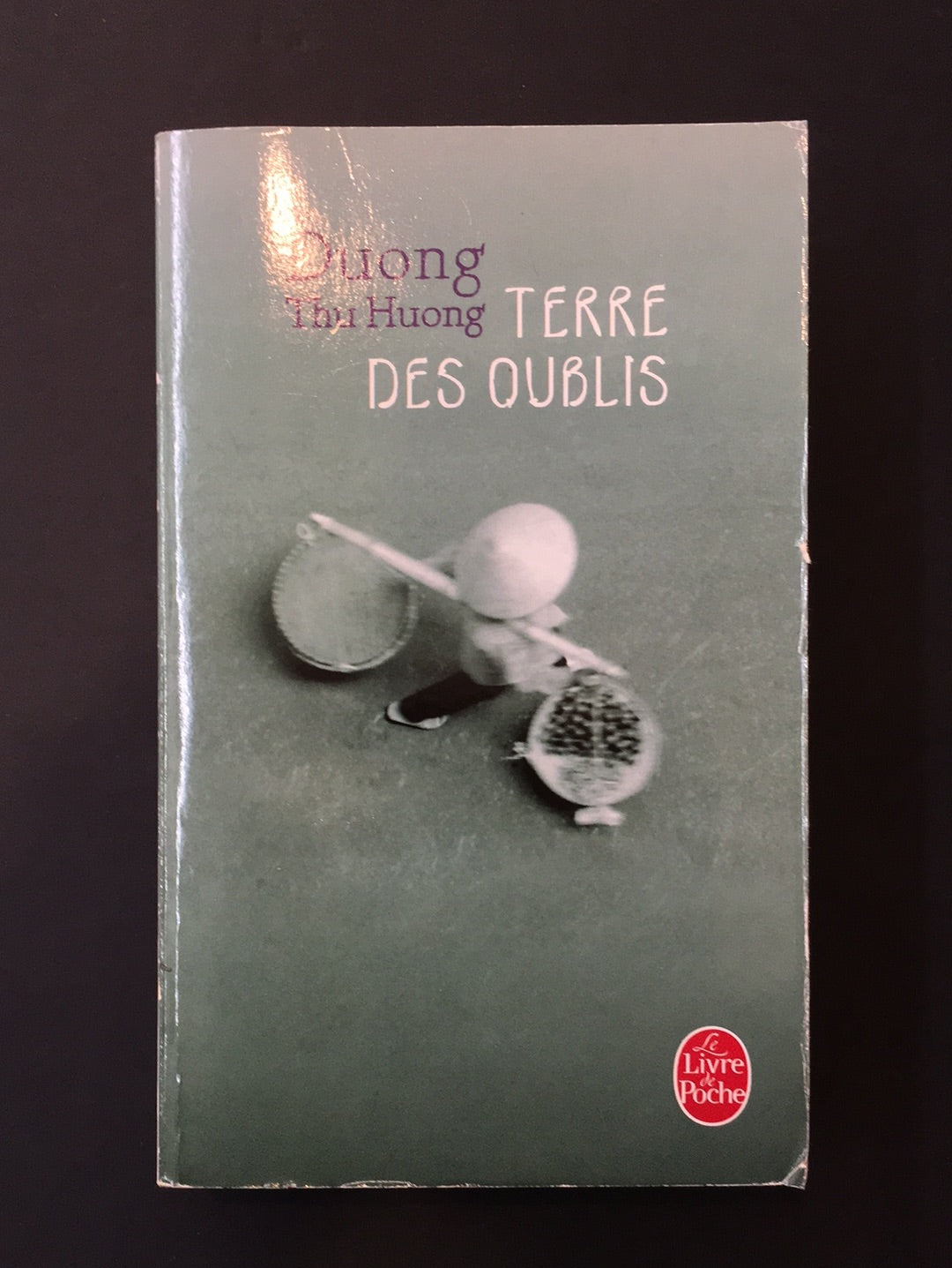 TERRE DES OUBLIS