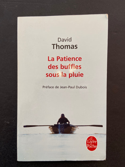 LA PATIENCE DES BUFFLES SOUS LA PLUIE