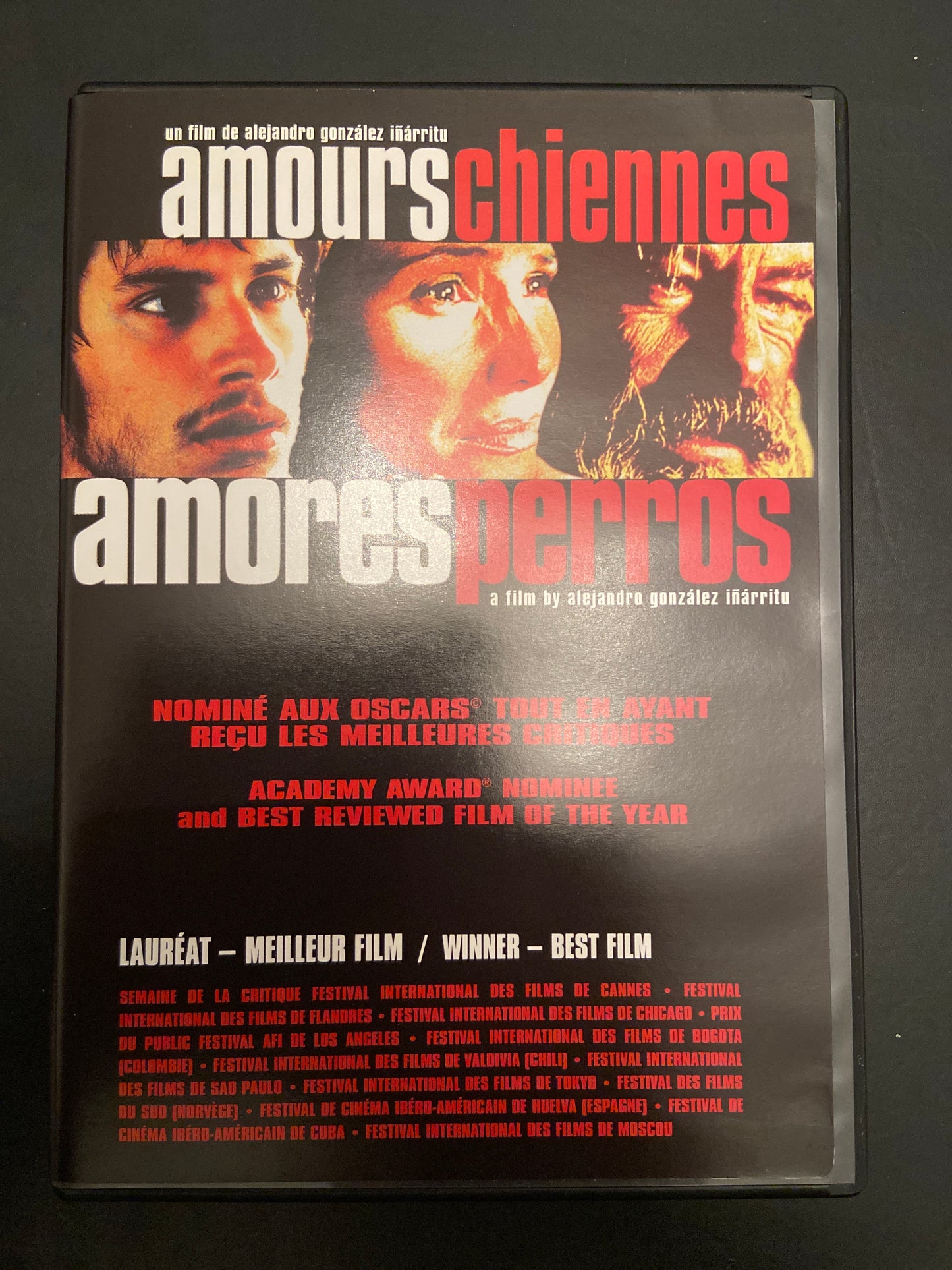AMORES PERROS