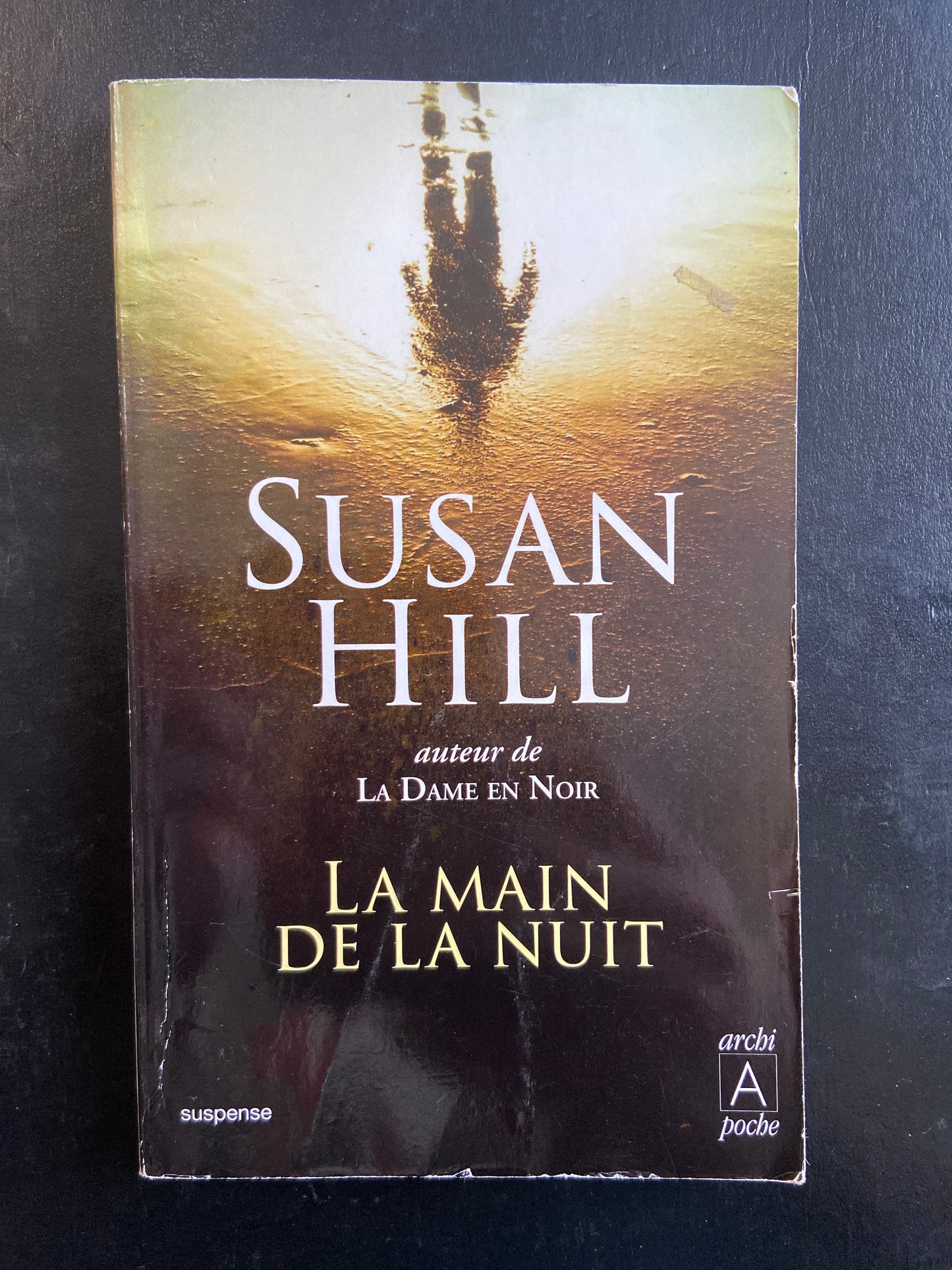 LA MAIN DE LA NUIT