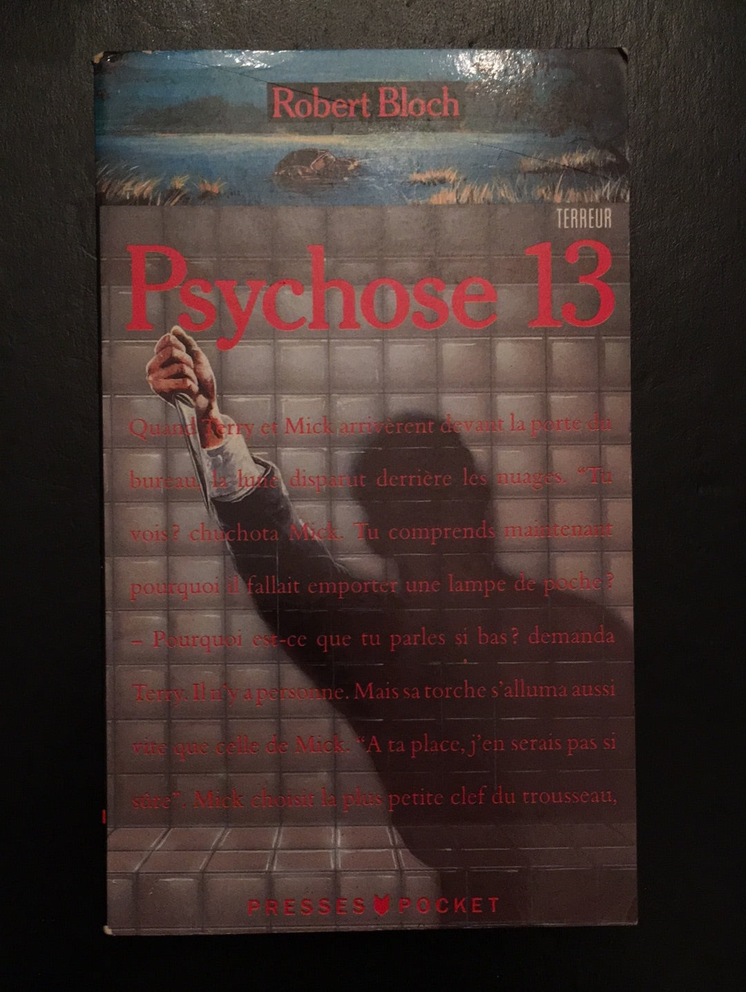 PSYCHOSE 13