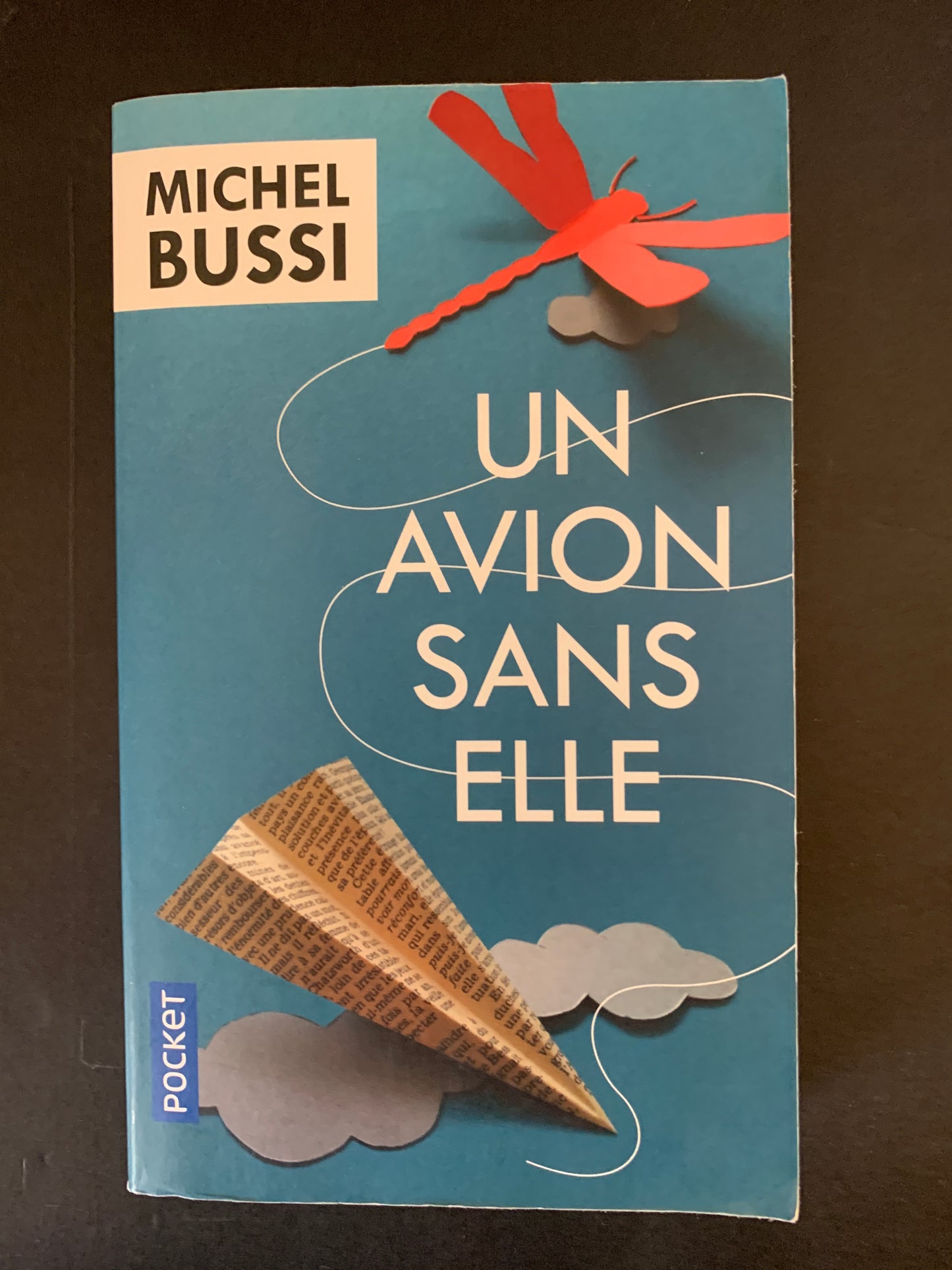UN AVION SANS ELLE