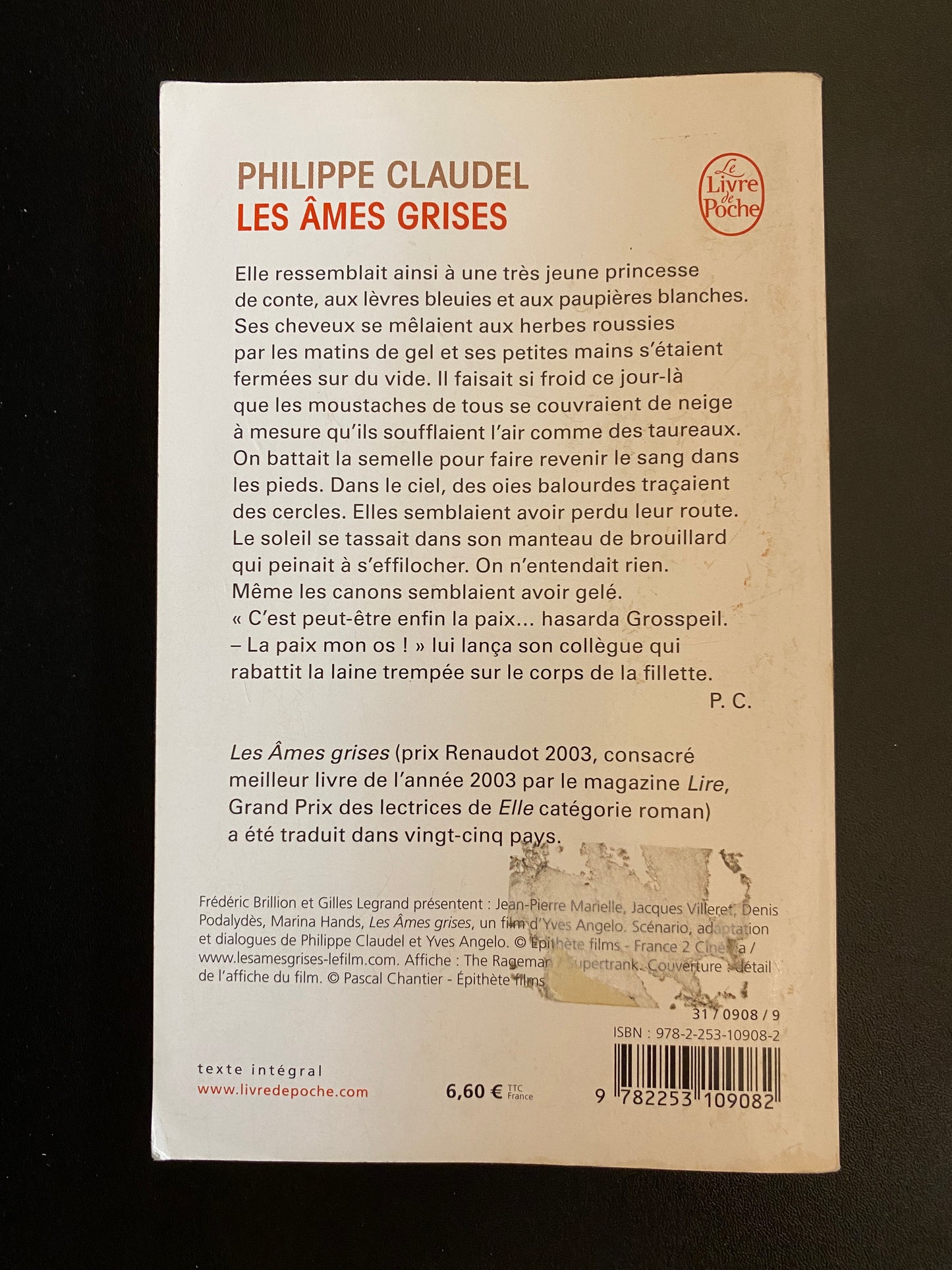 LES ÂMES GRISES