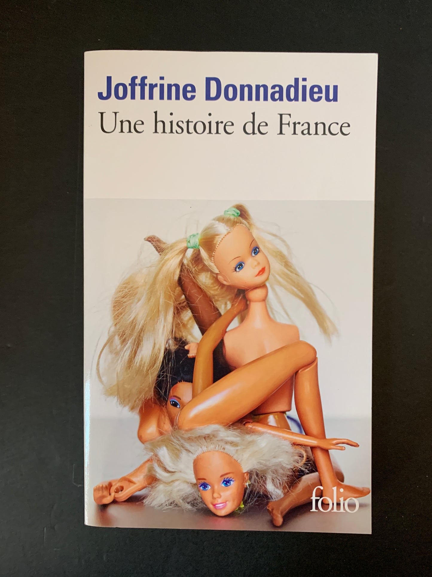 UNE HISTOIRE DE FRANCE