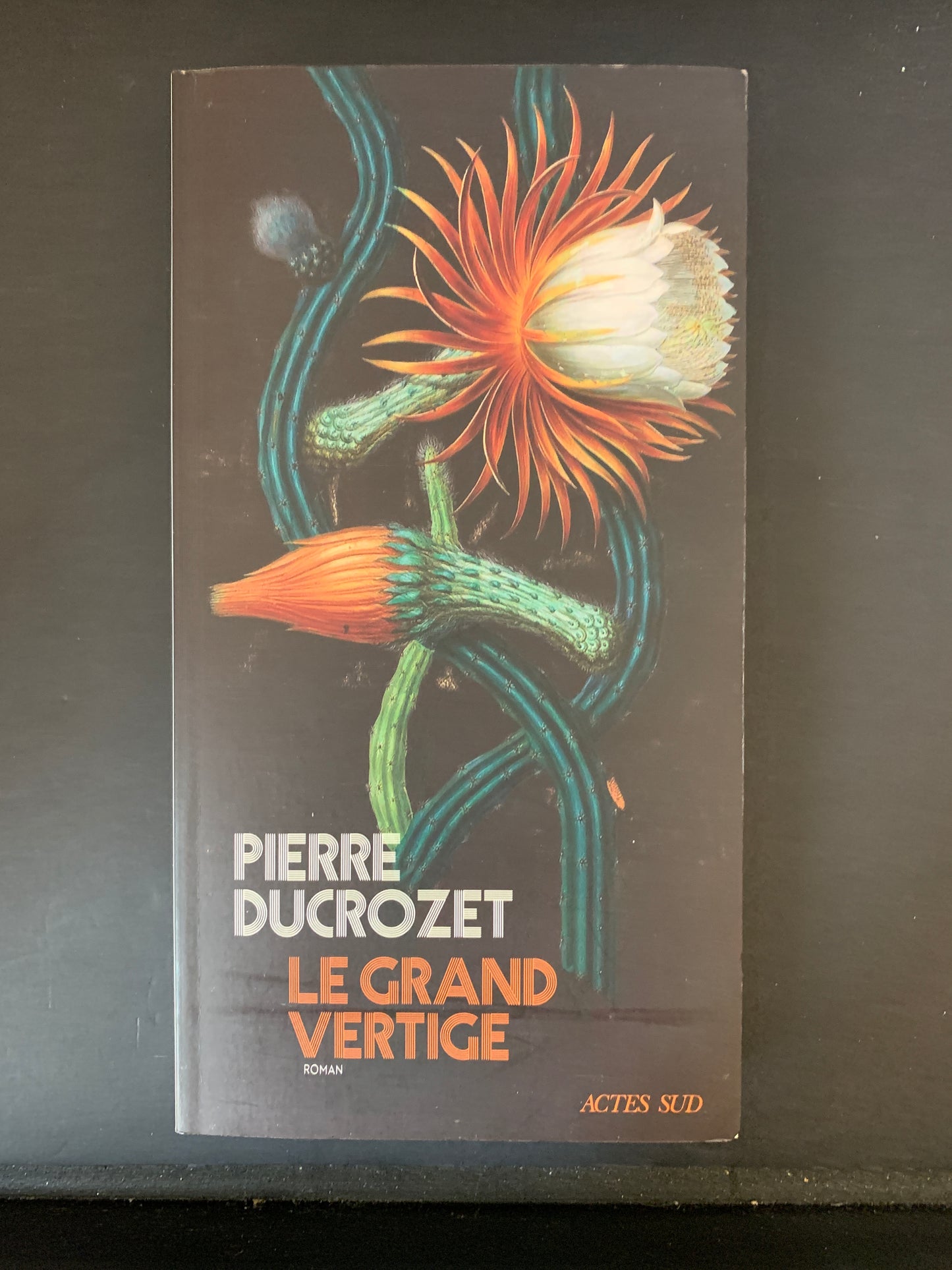 LE GRAND VERTIGE