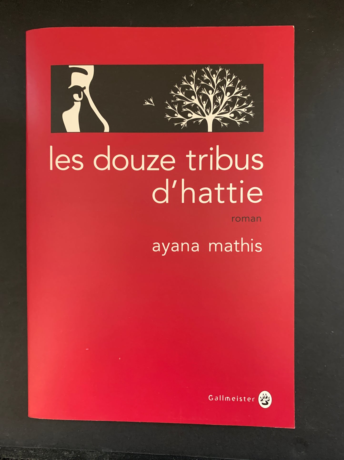 LES DOUZE TRIBUS D'HATTIE