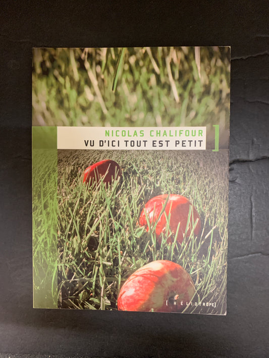 VU D'ICI TOUT EST PETIT