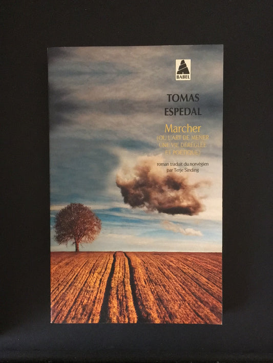 MARCHER (OU L'ART DE MENER UNE VIE DÉRÉGLÉE ET POÉTIQUE)