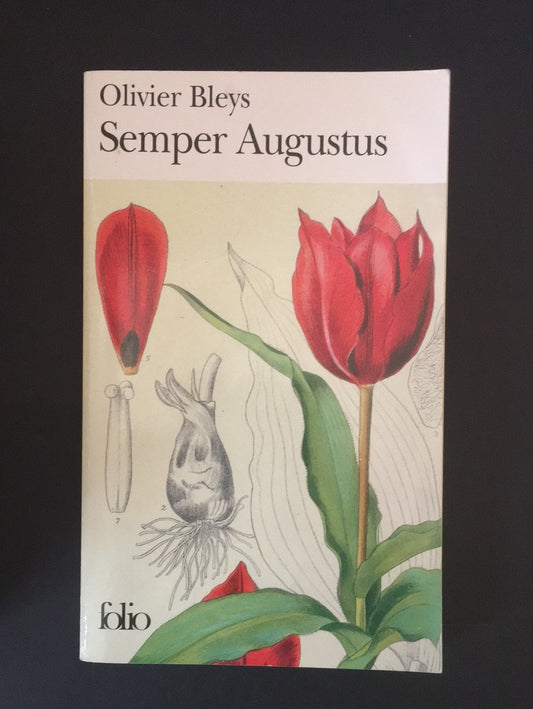 SEMPER AUGUSTUS