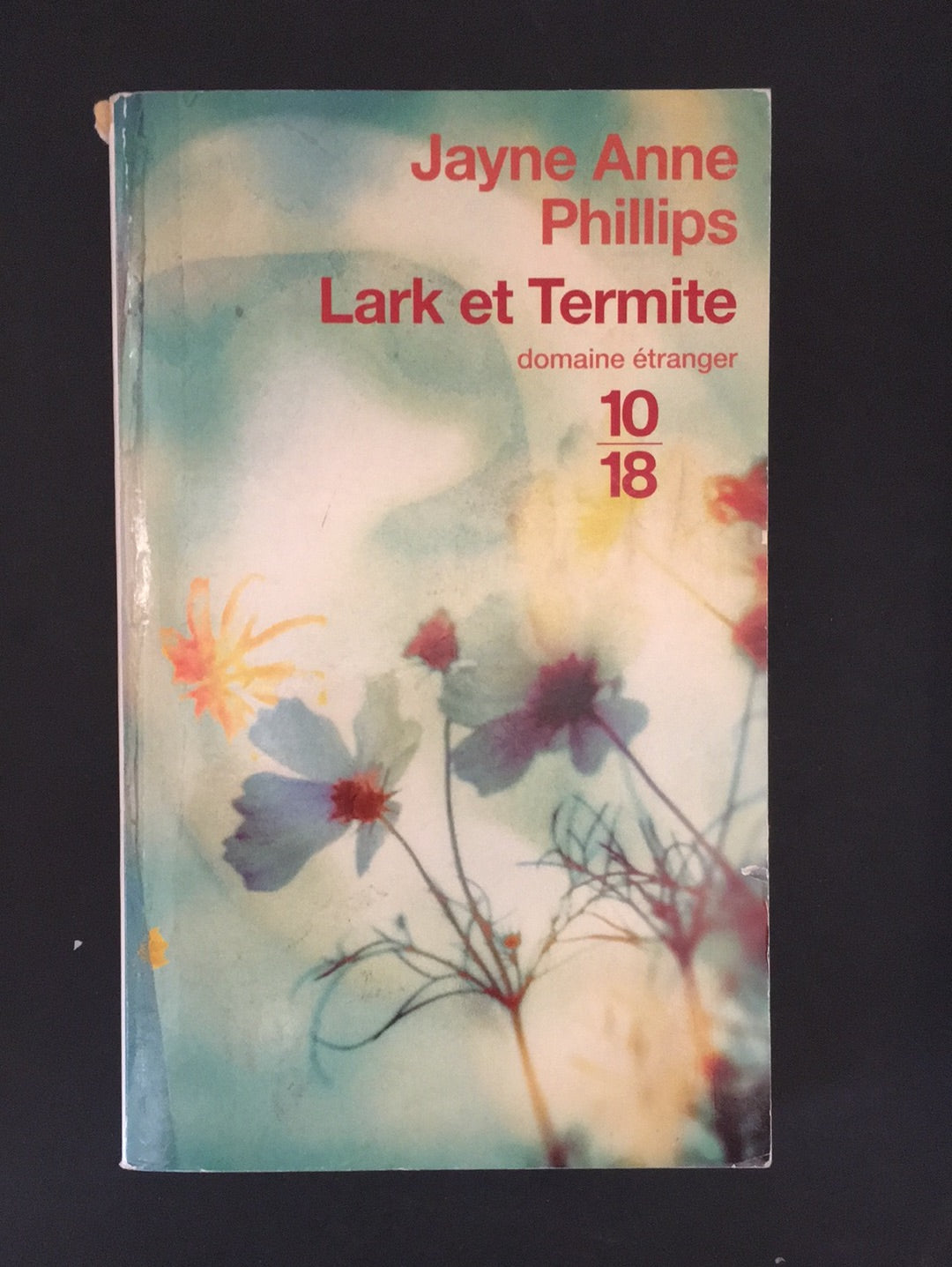 LARK ET TERMITE