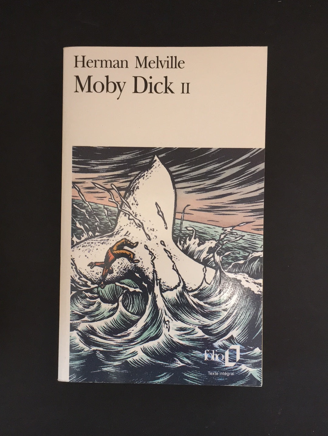 MOBY DICK - TOME 02