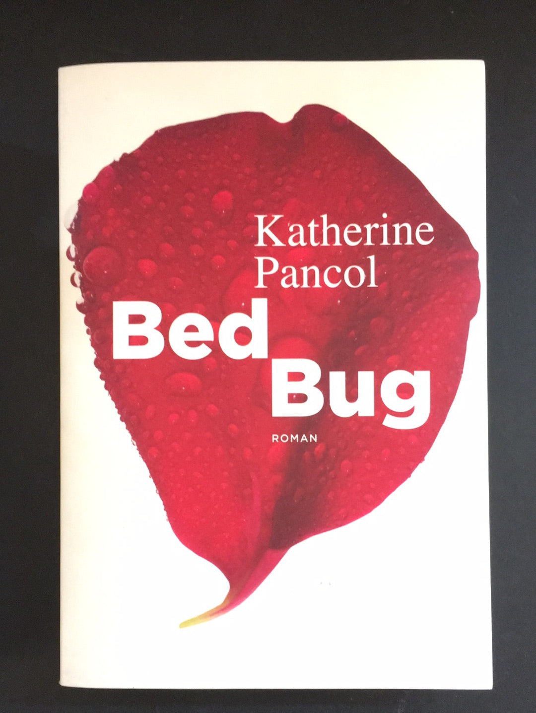 BED BUG