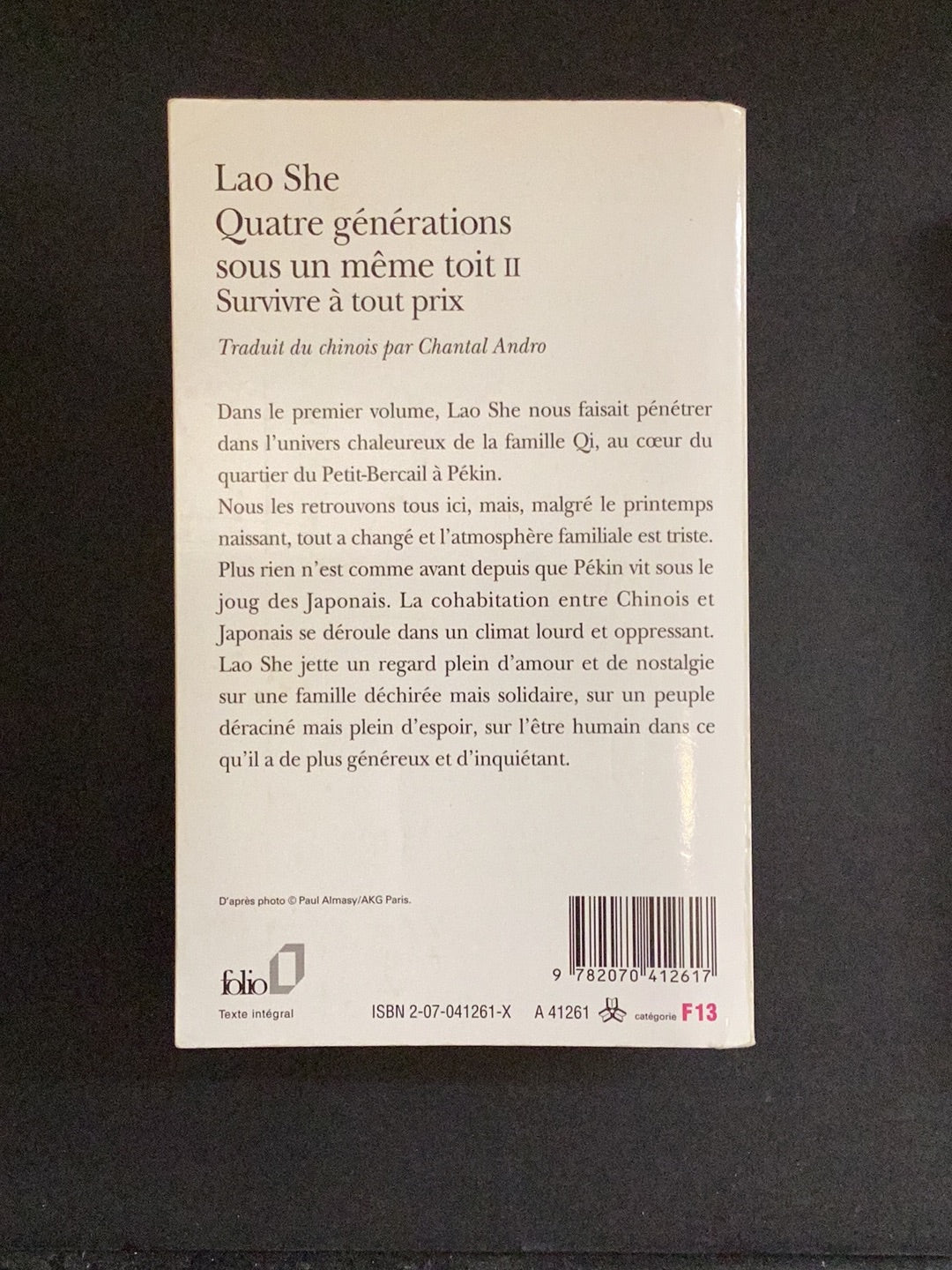 QUATRE GÉNÉRATIONS SOUS UN MÊME TOIT - TOME 02 - SURVIVRE À TOUT PRIX