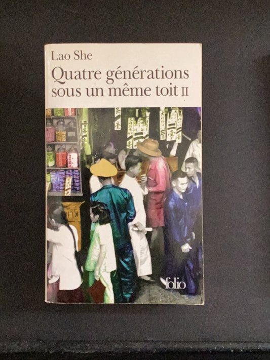 QUATRE GÉNÉRATIONS SOUS UN MÊME TOIT - TOME 02 - SURVIVRE À TOUT PRIX