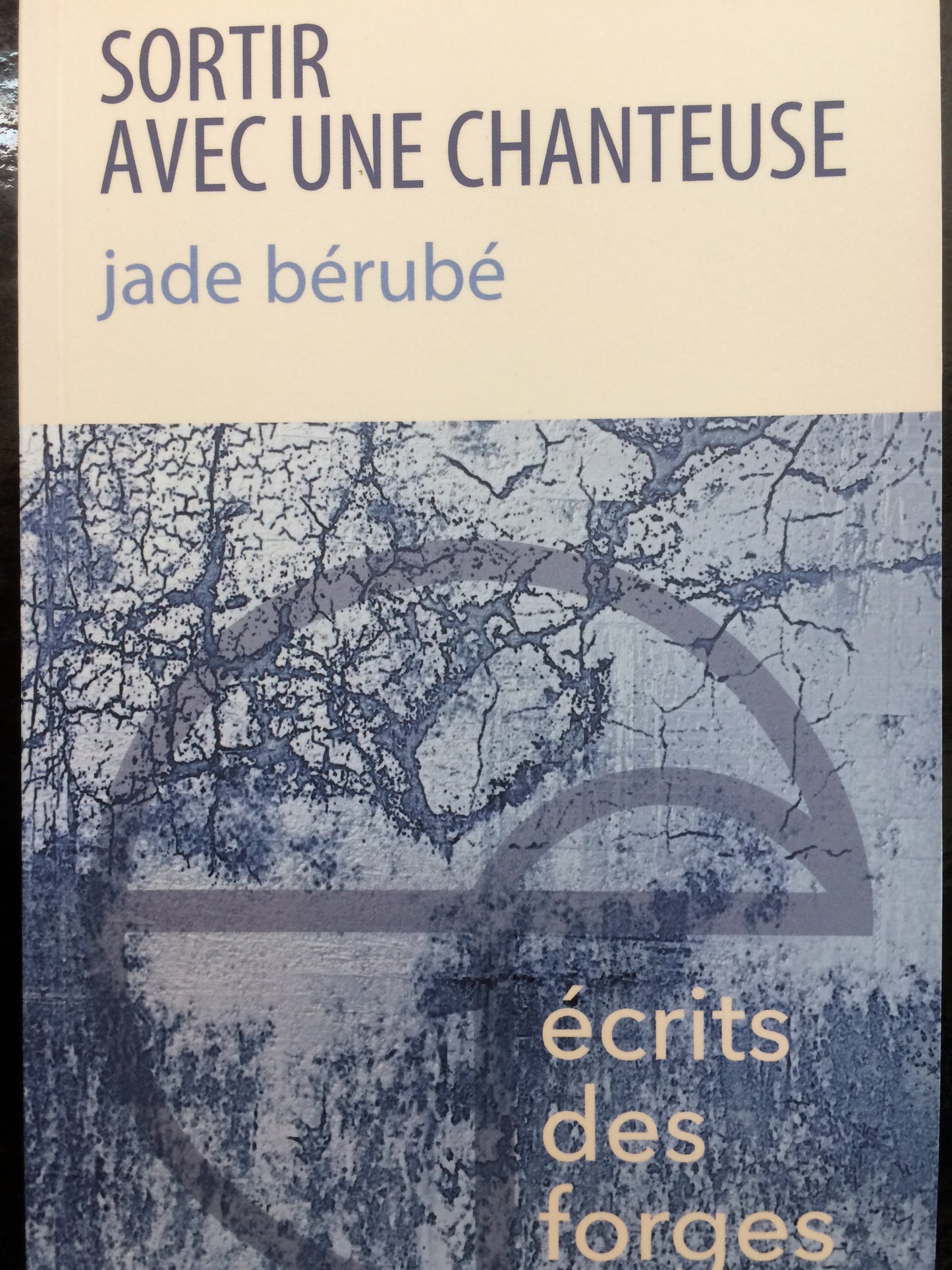 SORTIR AVEC UNE CHANTEUSE