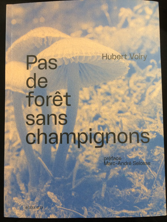 PAS DE FORÊT SANS CHAMPIGNONS